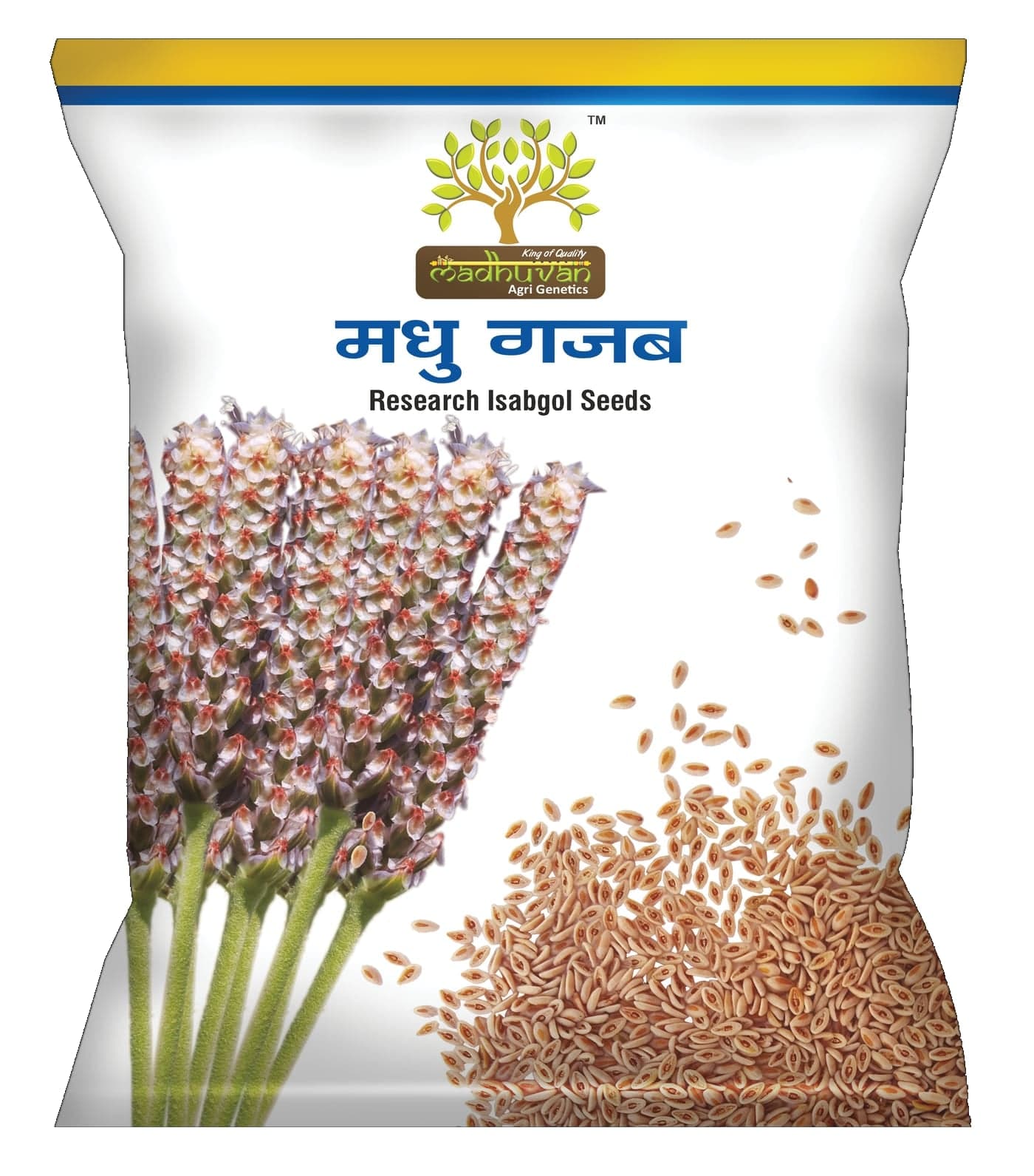 Madhu Gajab