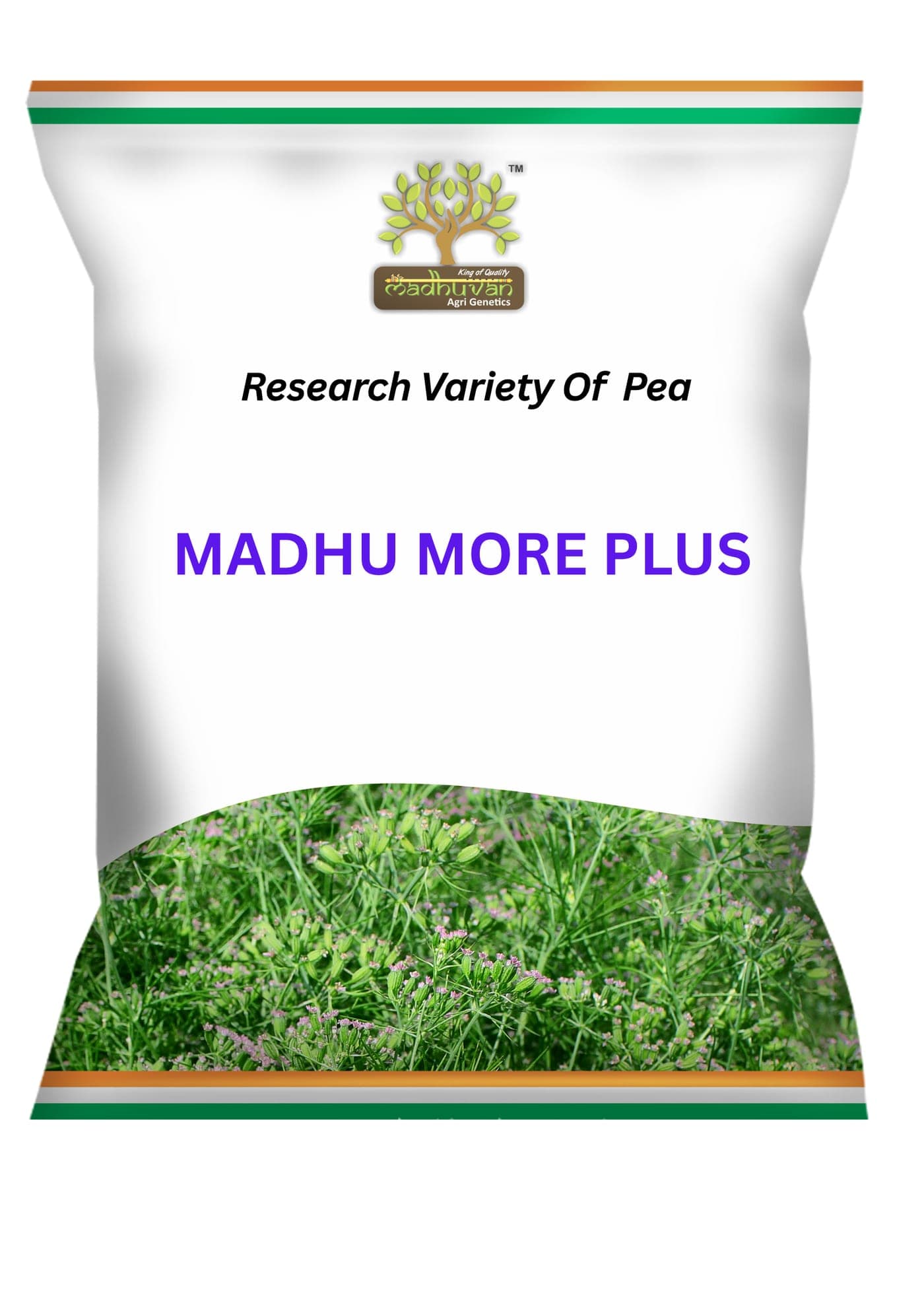 Madhu More Plus