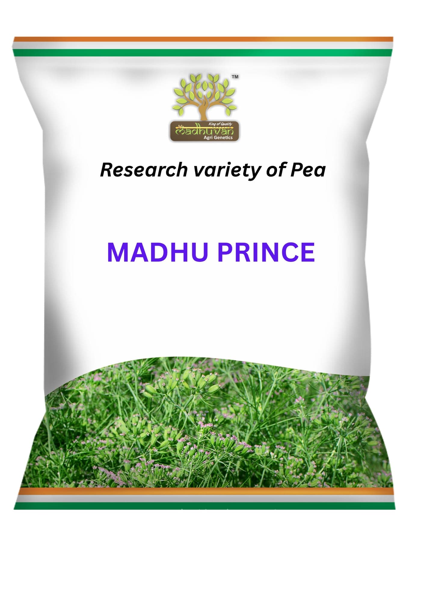 Madhu Prince