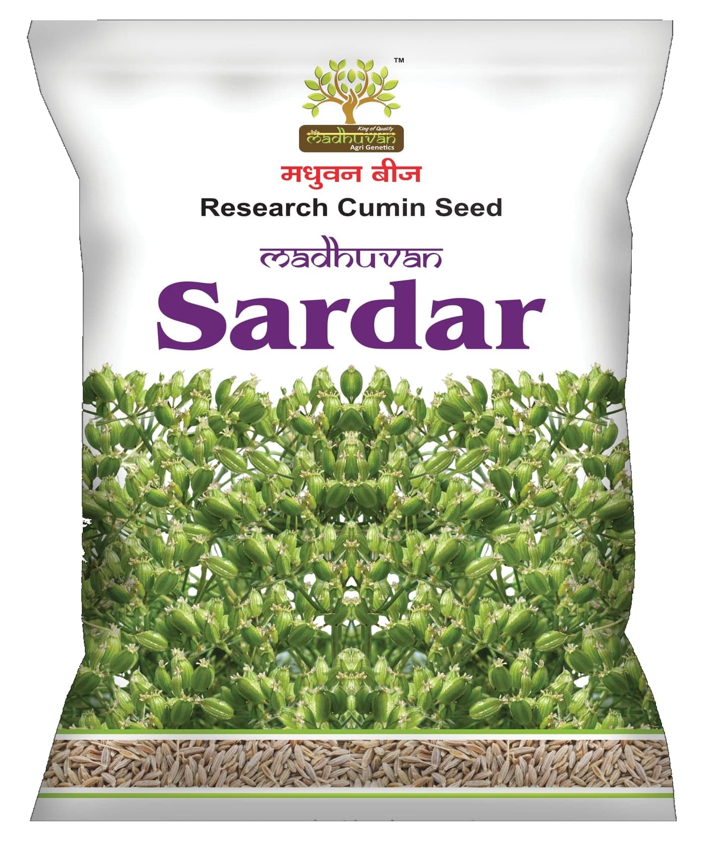 Madhu Sardar