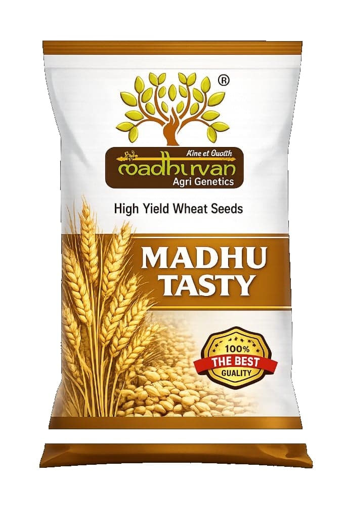 Madhuvan Tasty
