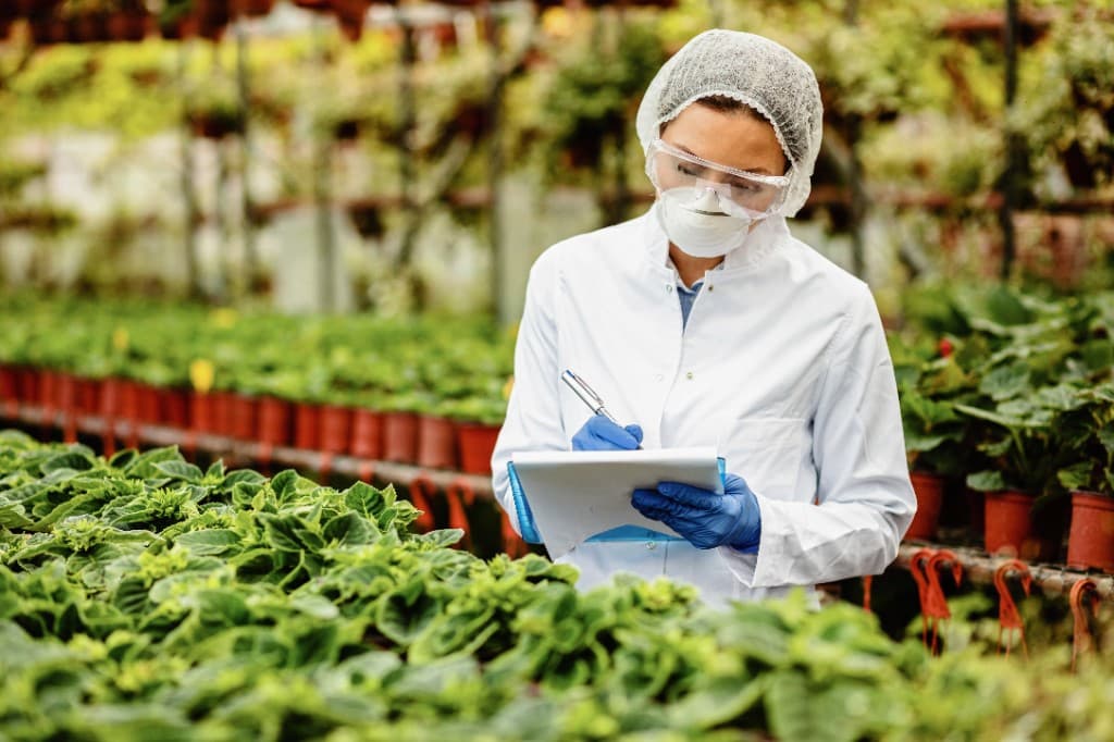 Researcher inspecting plants and recording quality data in a greenhouse
