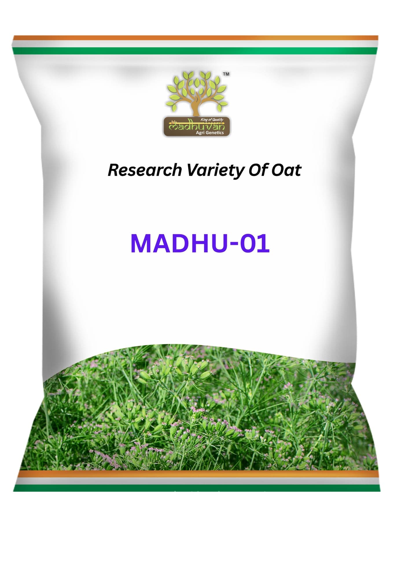 Madhu-01