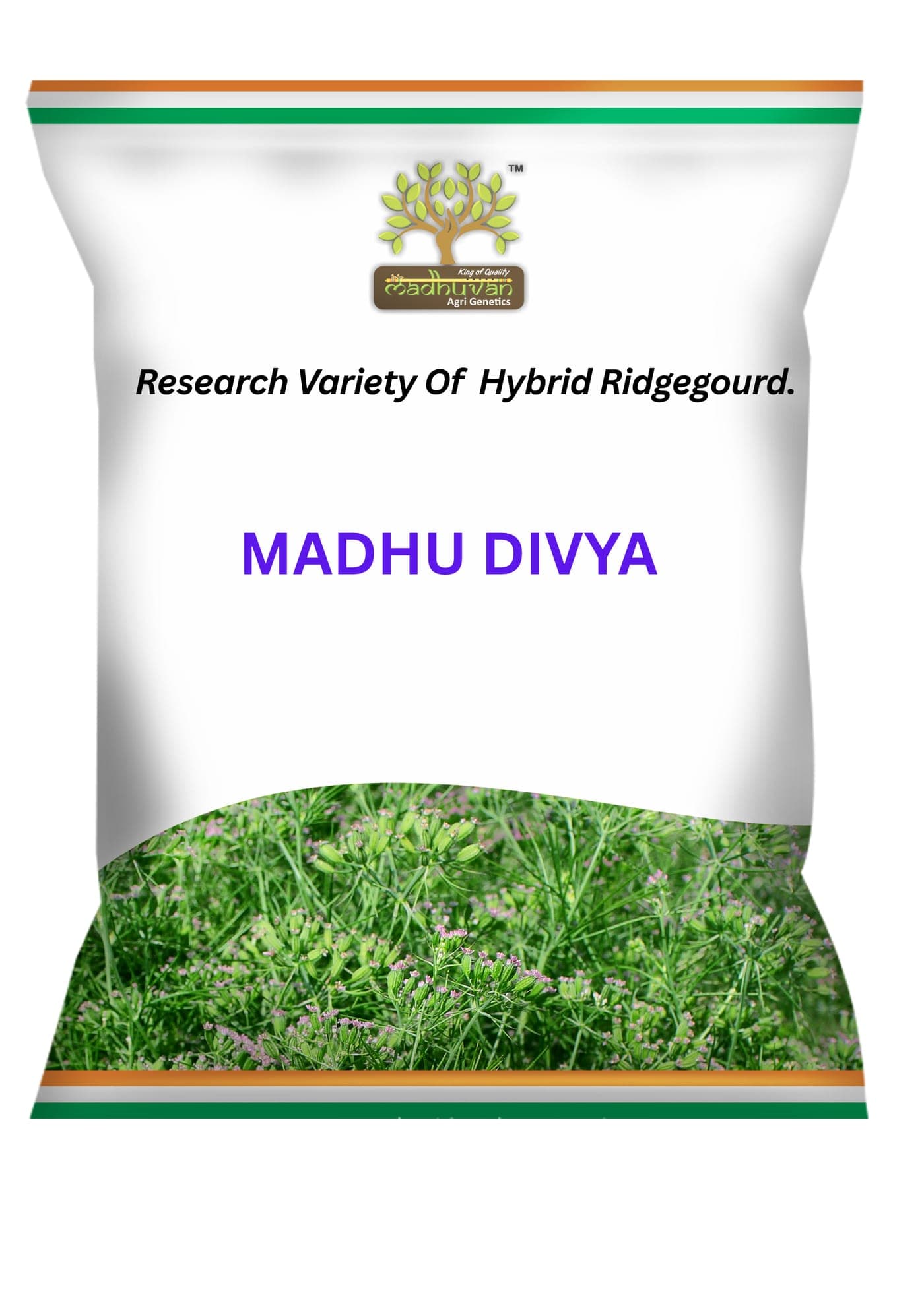 Madhu Divya