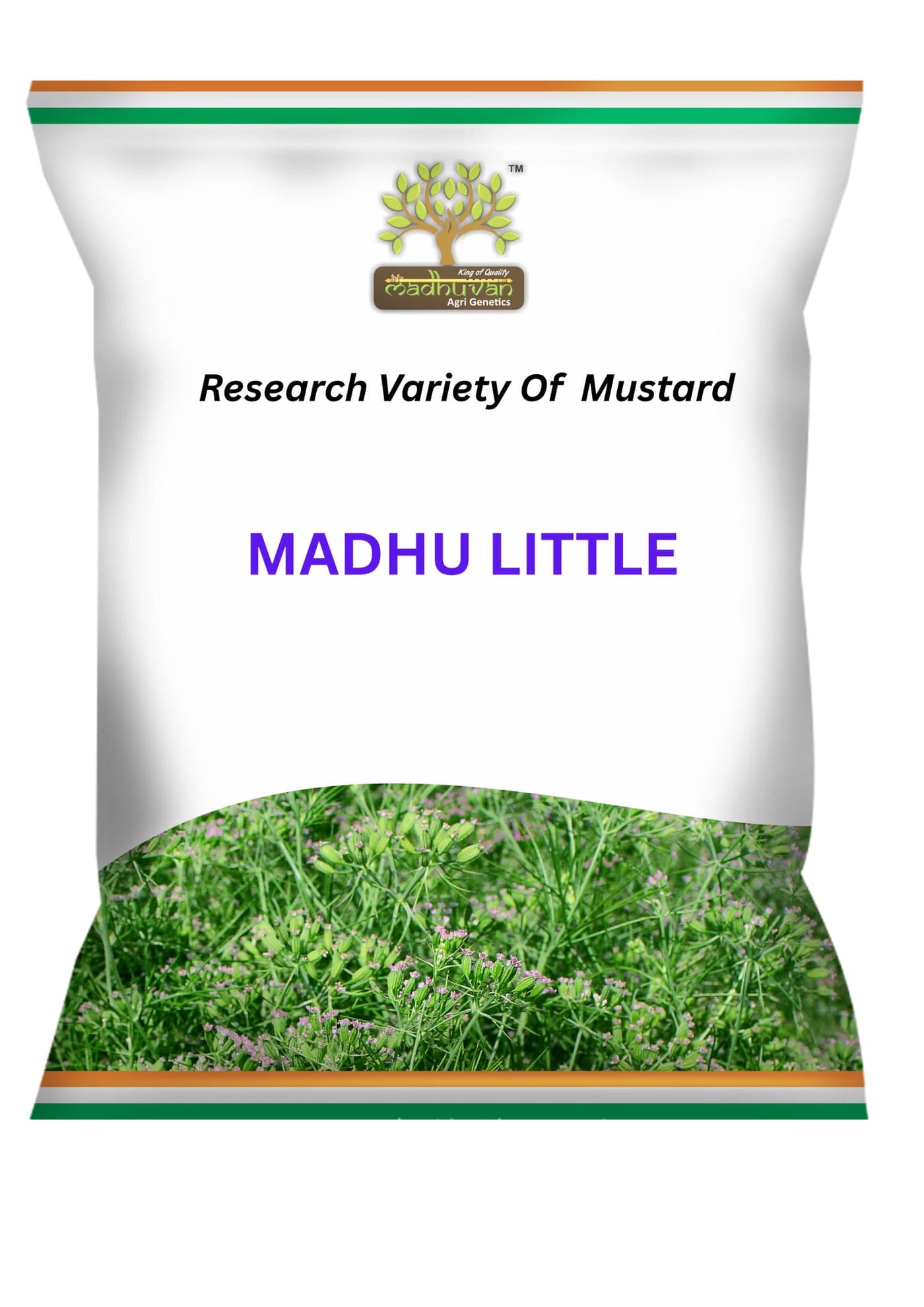 Madhu Little