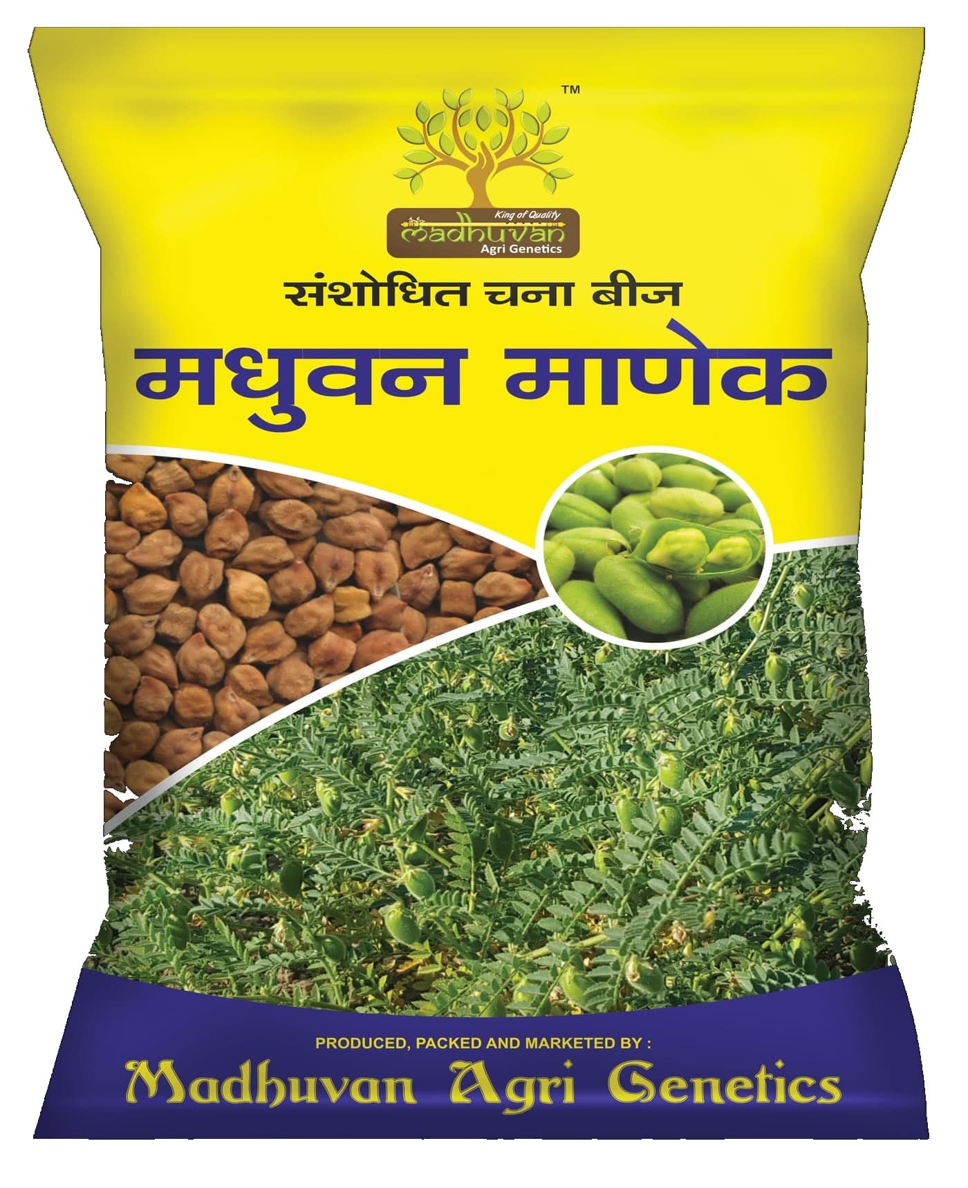 Madhu Manek