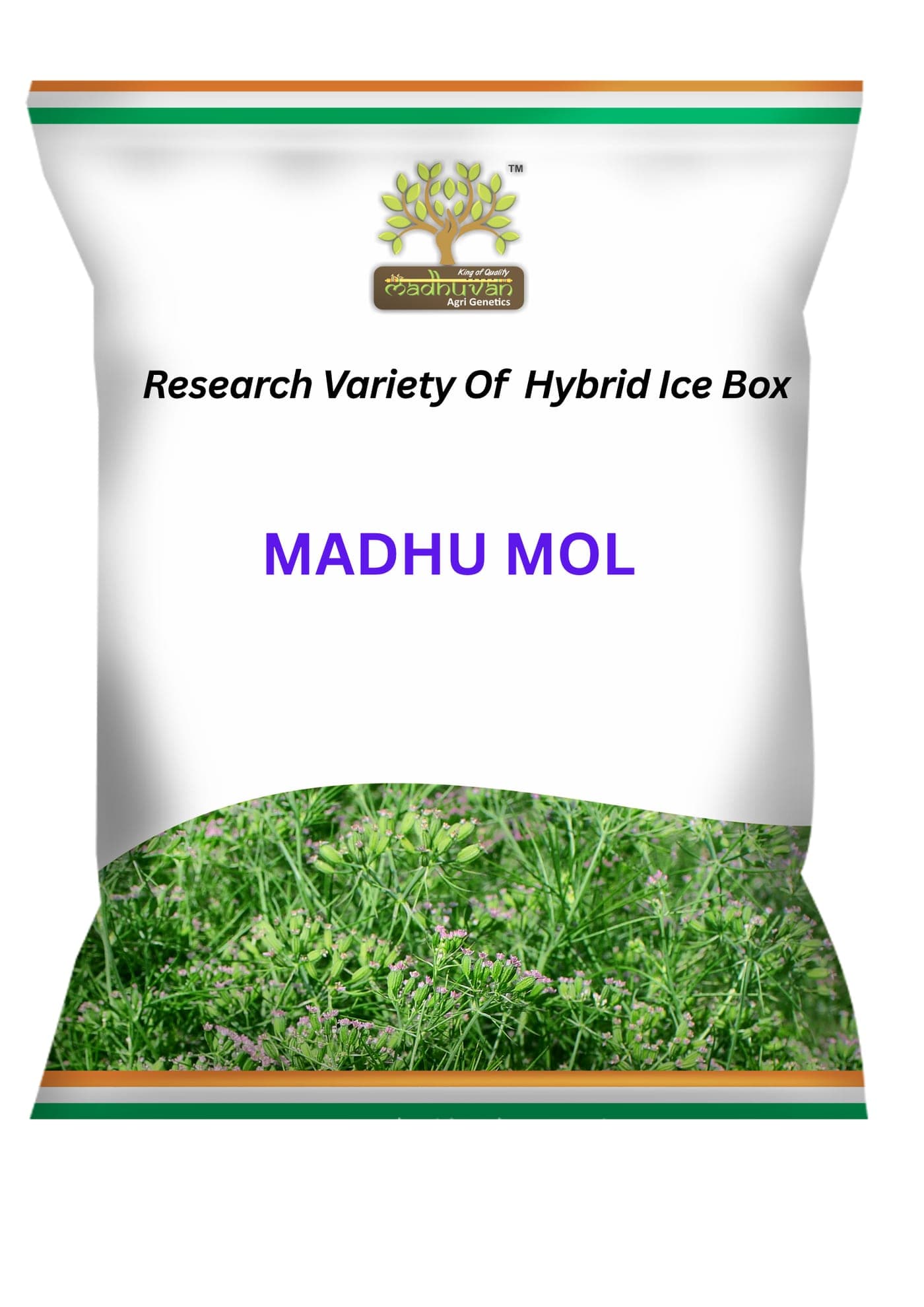 Madhu Mol