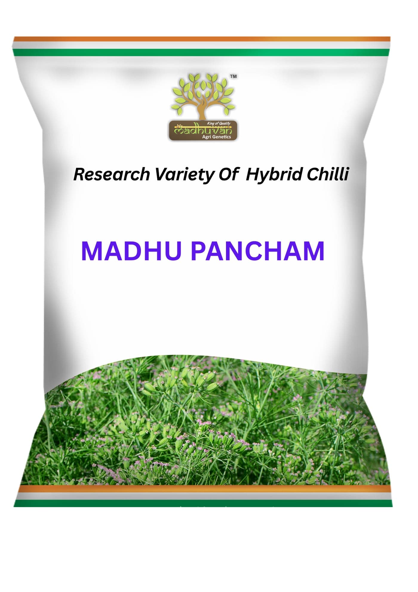 Madhu Pancham