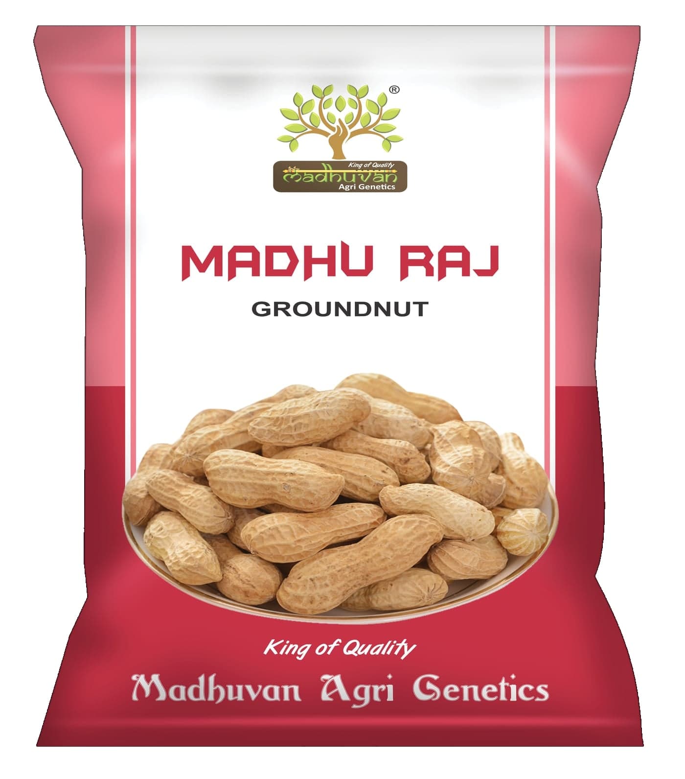 Madhu Raj