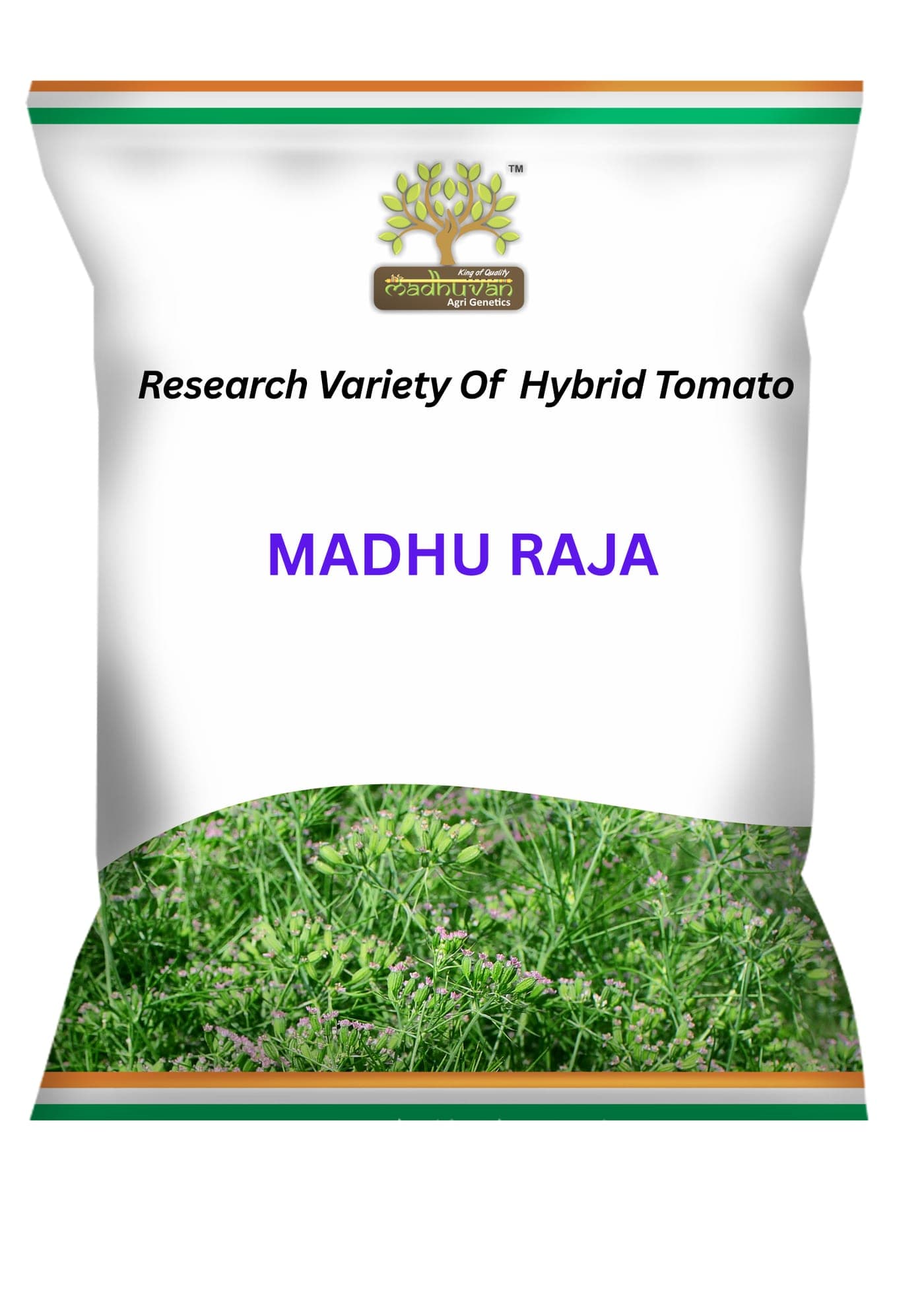 Madhu Raja
