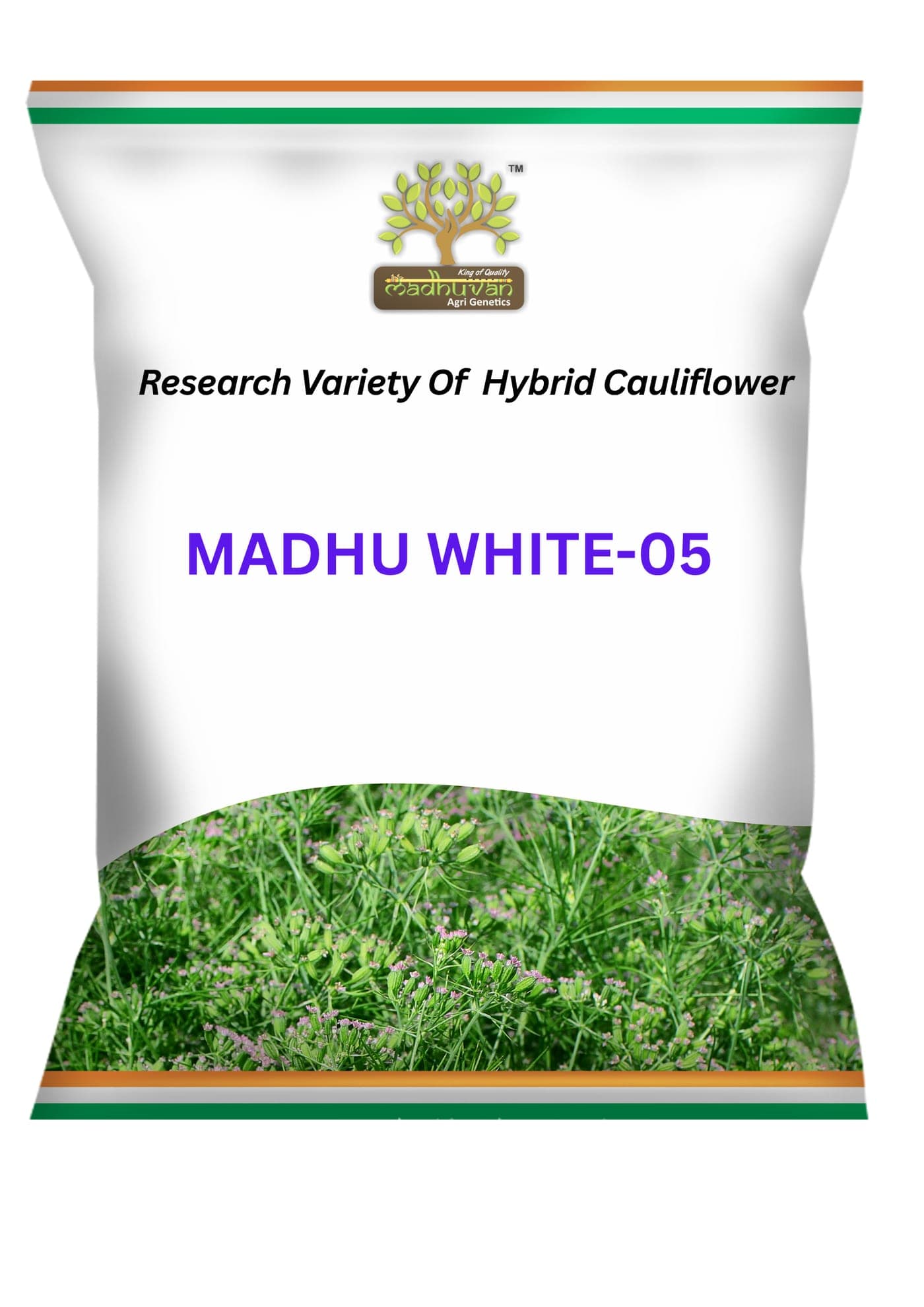 Madhu White-05