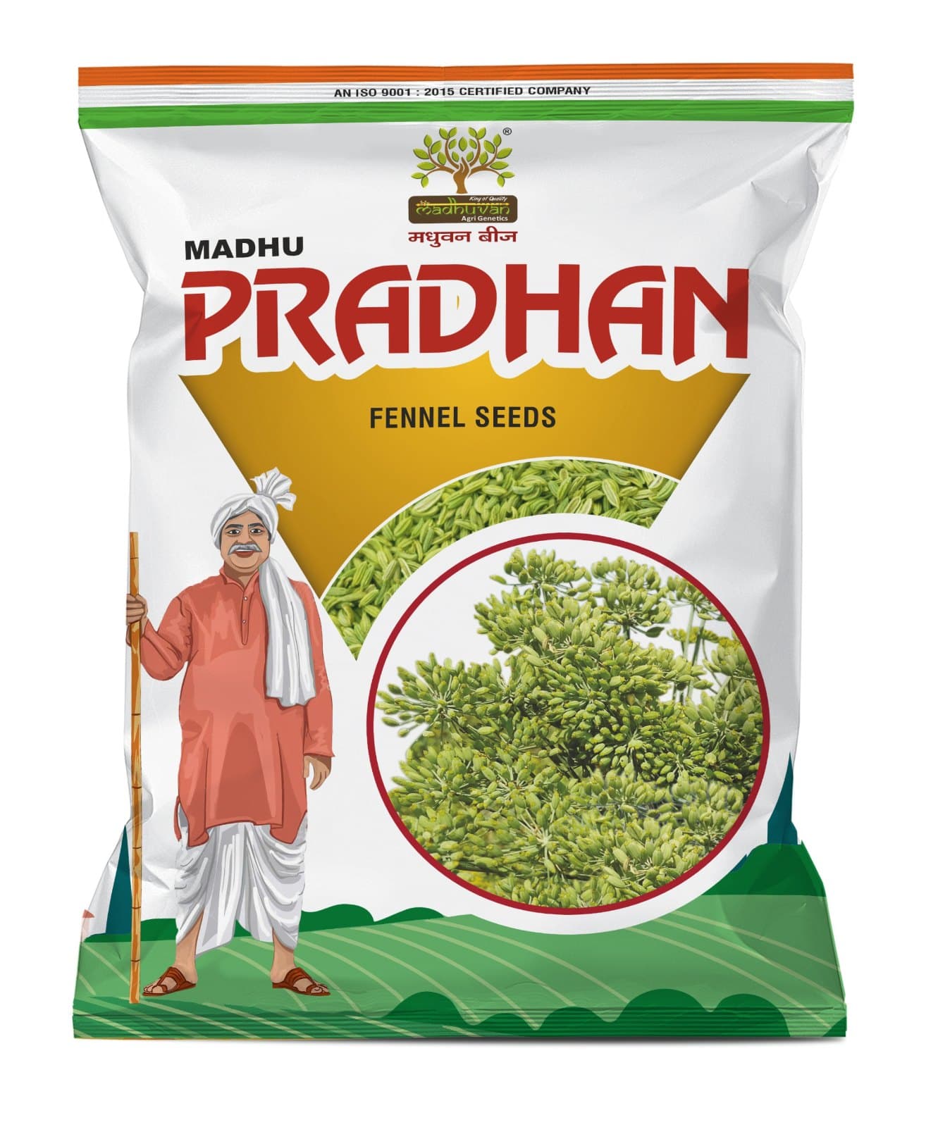 Madhu Pradhan