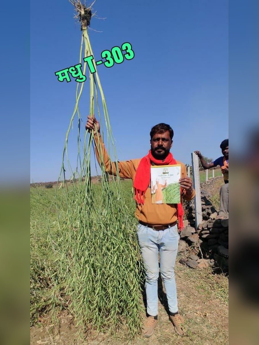 Farmer showcasing Madhu T-303 crop performance in the field