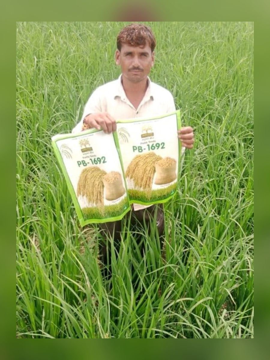 PB-1692 crop success with Madhuvan seed packets in the field